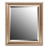 Espejo marco resina dorado relieve detalle clásico hojas 50x60cm